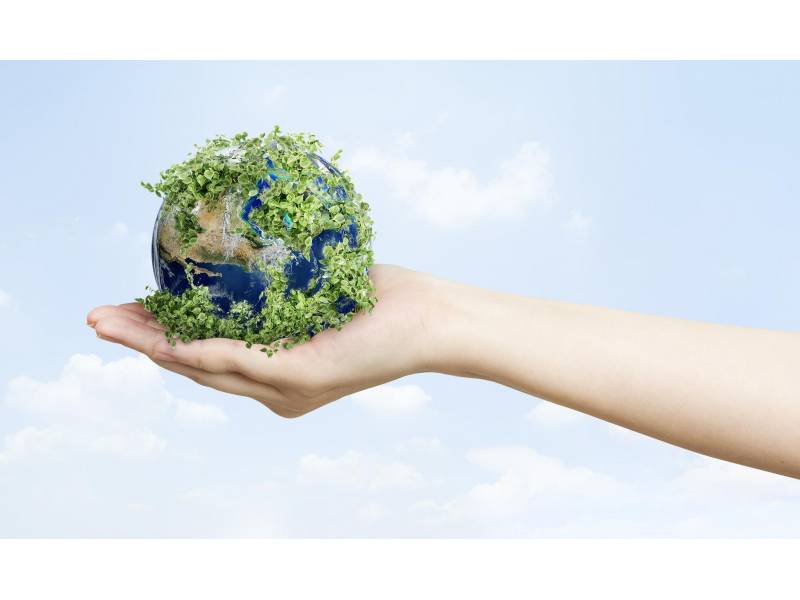 sustainable-living-environmentalist-hand-holding-green-earth